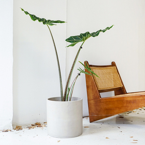 Creative personality cement floor-standing flowerpot large round breathable Nordic simple living room home tree planting pot