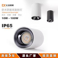 IP65防水表面実装ダウンライト屋外ハイパワー80Wラウンド天井防眩スポットライト天井COB表面実装スポットライト
