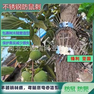 ������ҧ늾��U����ľ��܇�Cœ늾��|���P䓷������B؈�߾W�p�@��