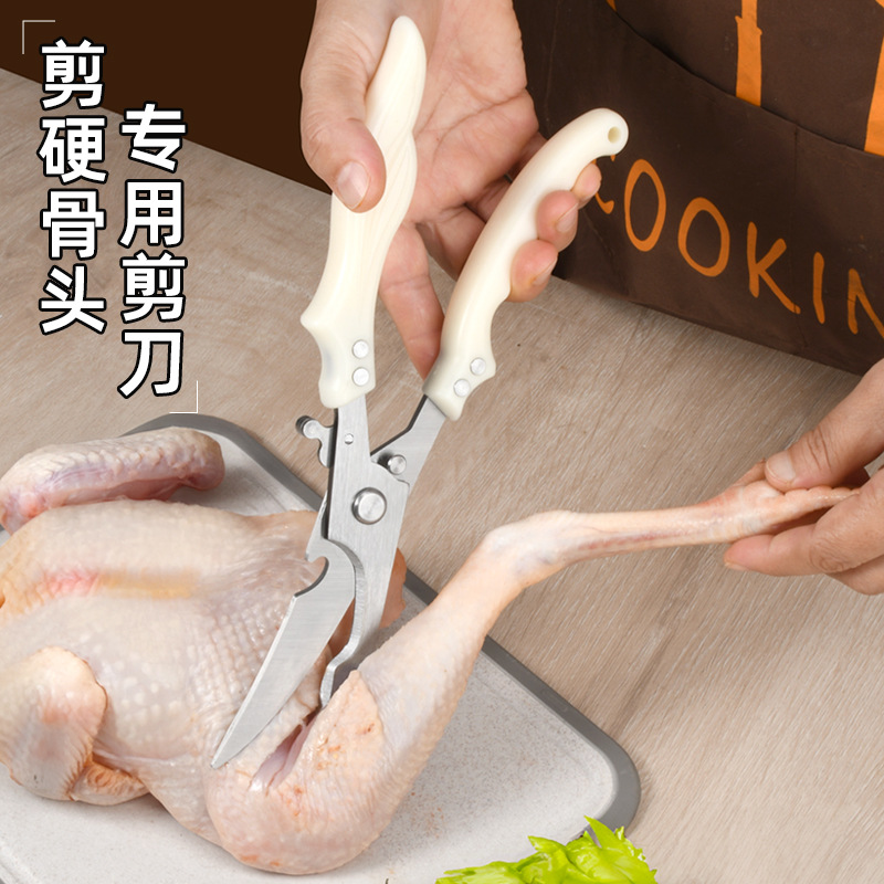 微信图片_20240826132446