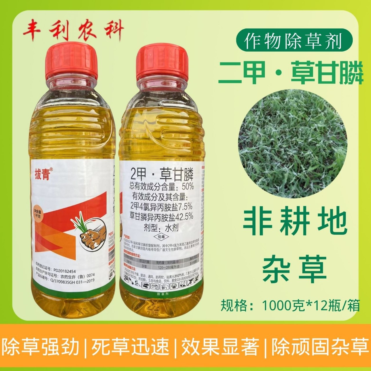 50%2甲4氯草甘膦果园荒地道路小飞蓬毛竹狗尾草节节草芦苇除草剂