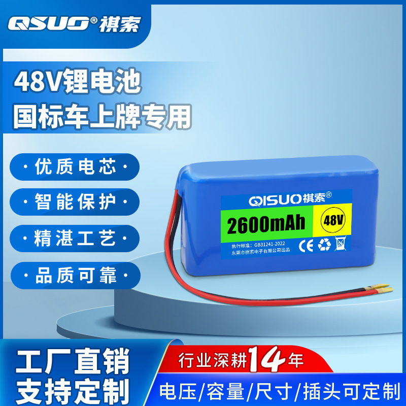 36V48V锂电池上牌临时专用2.6AH可充反复轻便工厂专业生产小电瓶