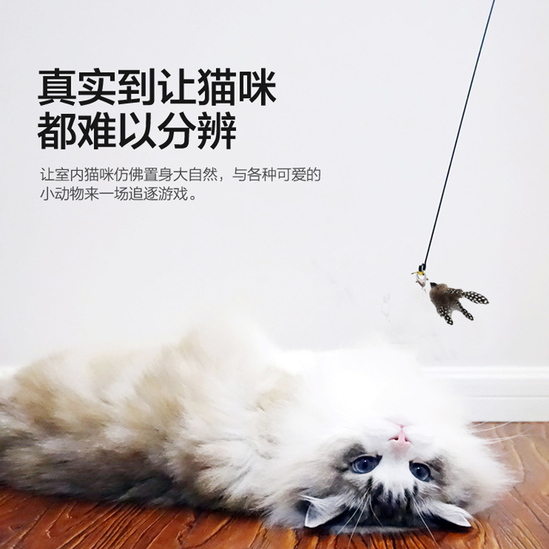 d29dffe1427cab28e0c75e0358faf0