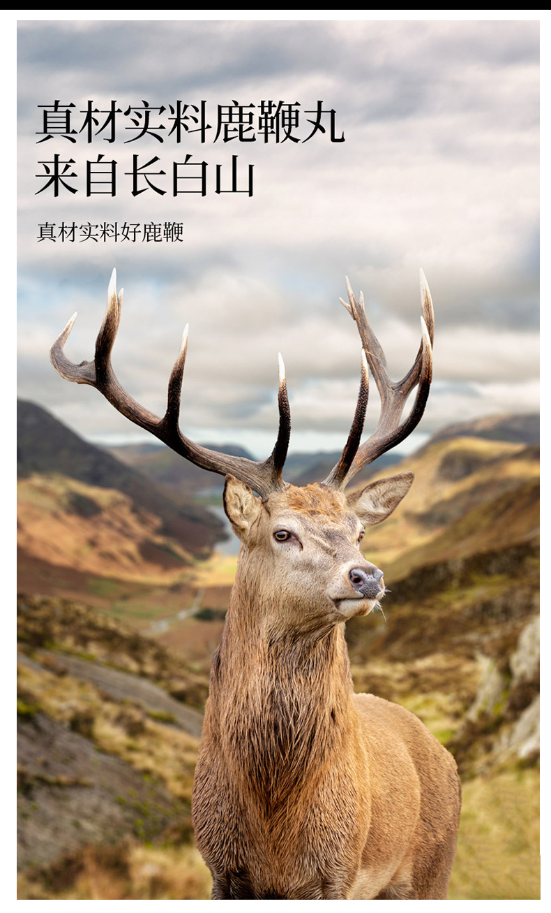 人参黑松露牡蛎鹿鞭-详情页2_05