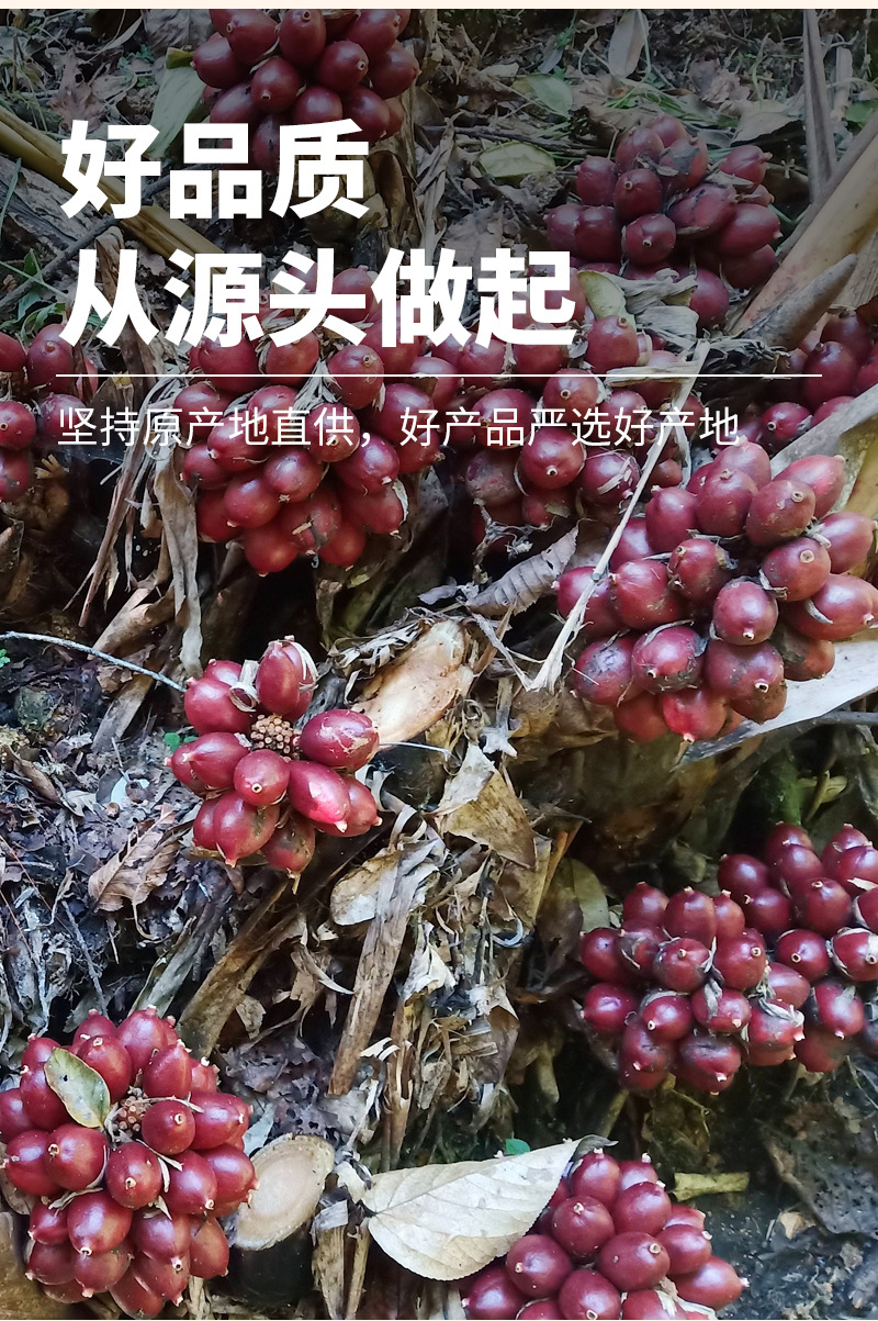 Cao Guo (Amomum tsaoko) — Dried Tsaoko Fruit Spice for Braised Dishes & Herbal Soups key features