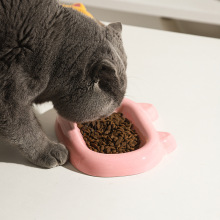 陶瓷猫碗动物盘子发财创意设计猫咪猫粮碗粮食盘零食食盆狗狗宠物