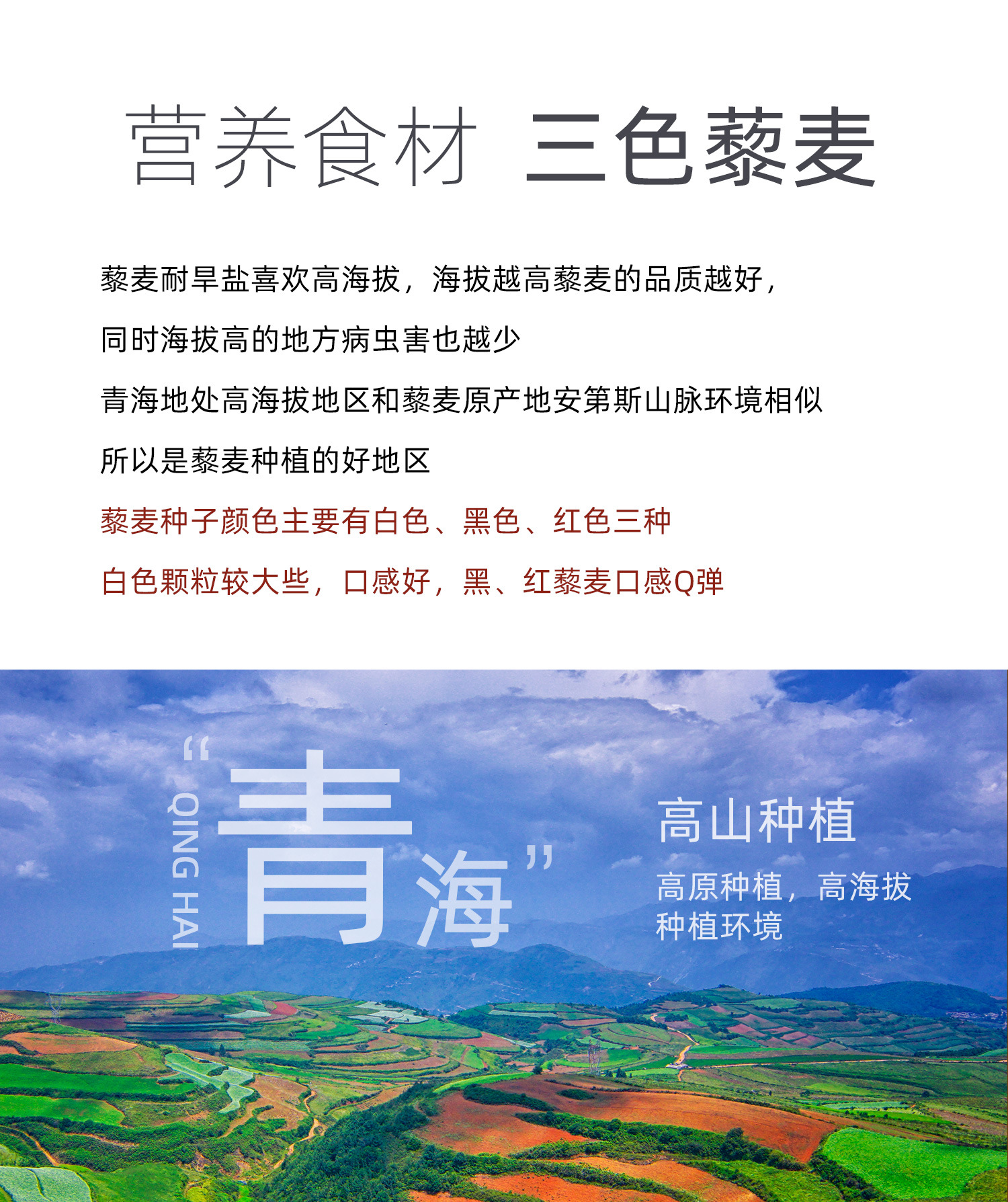 三色藜麦(1688)详情-拷贝01