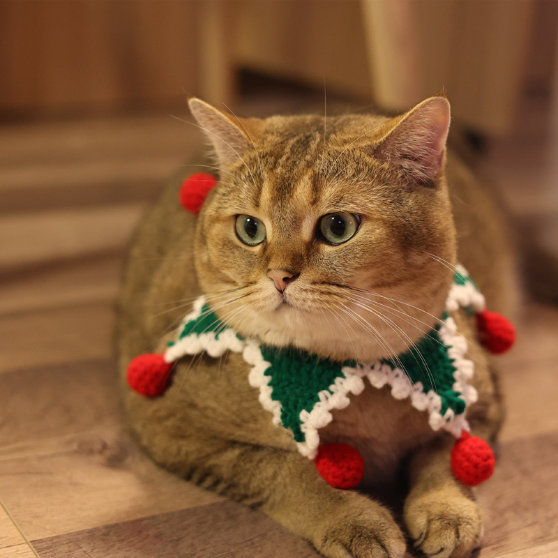 Christmas Pet Collar Variation 2
