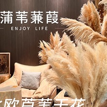 ��Ȼ�JȔ�ɻ������b���Ȕ��ؿ͏d�[�����߻�Y�۲�����������