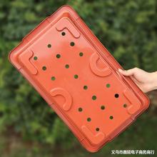 ̨NLϻlؾG~˾²NֲLl