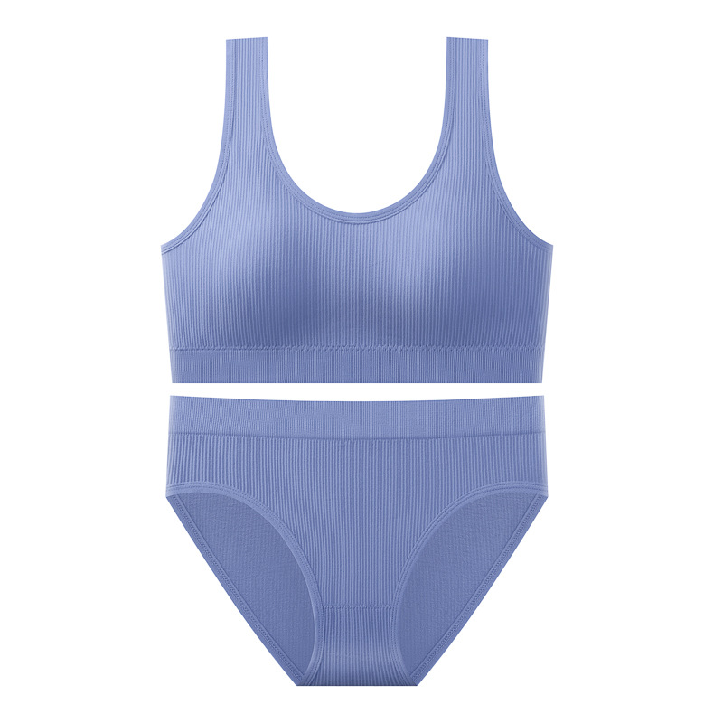 Traje trasero deportivo sin costuras, sujetador fruncido con almohadilla para el pecho para mujer, chaleco a prueba de golpes para correr yoga, ropa interior a juego