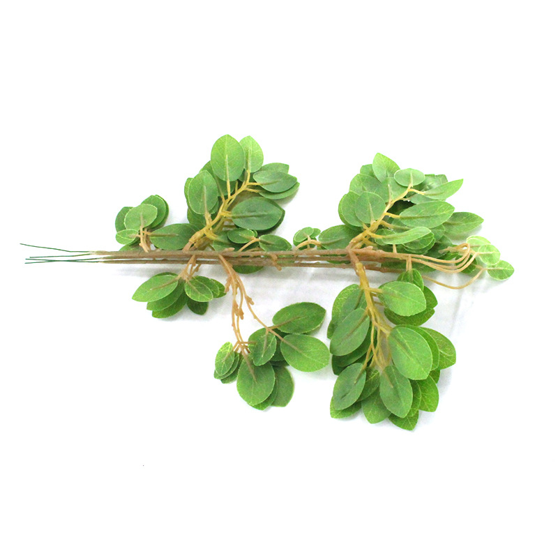 XRB-254 檵木叶单枝33叶0 (4).jpg