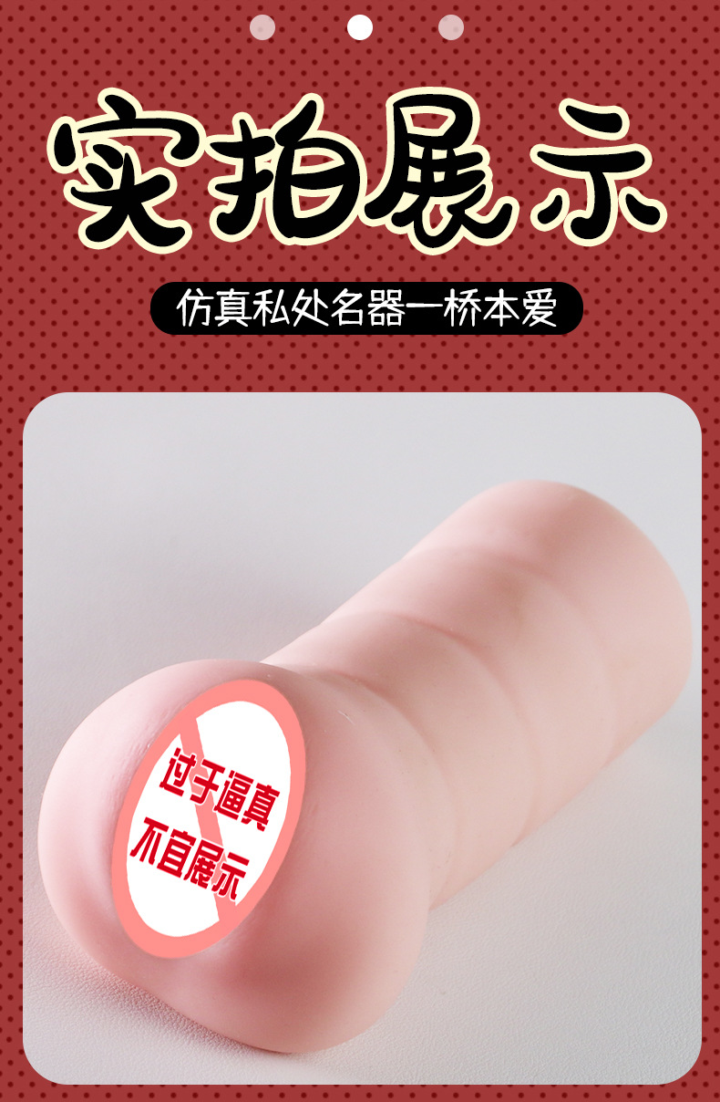 Hashimoto Ai Inverted Aircraft Cup Male Masturbation Device TPE Manual — detail image 13