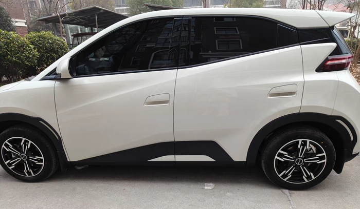 Suitable for Byd Su Rui Qin Dolphin Modified Seagull Hub Wheels