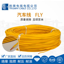 ��������܇��|FLY 125���͸ߜ�PVC�^�� ��܇����Ȳ��B�Ӿ�