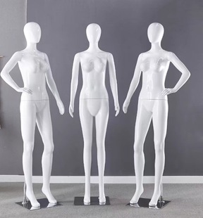 Male and Female Model Lingerie Store Clothing Store Model Props Full Body Half Body Glossy Model Window Display Shelf