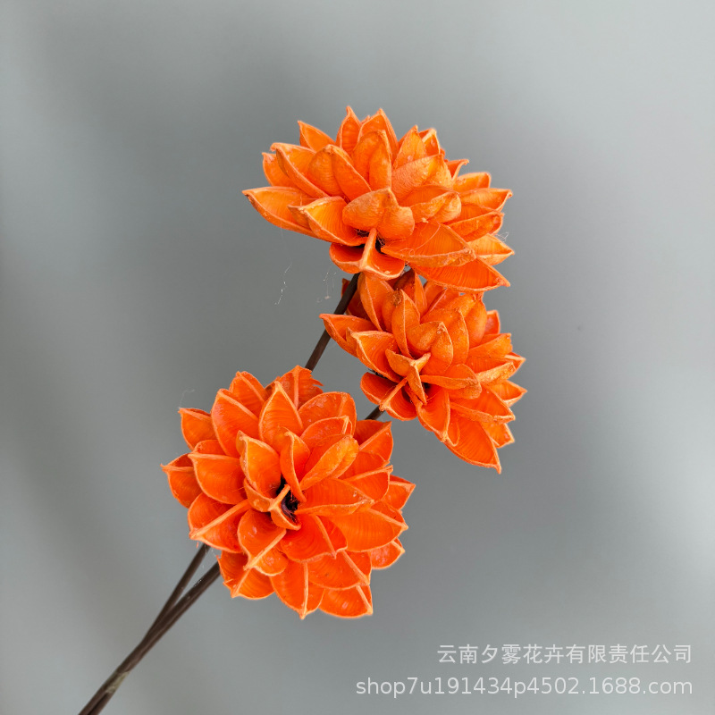 Tres naranjas de Ma Yinghua