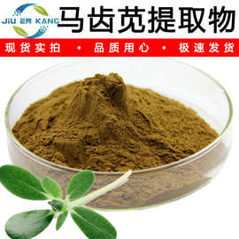 马齿苋提取物水溶马齿苋粉高含量马齿苋皂甙浓缩粉植物中草药