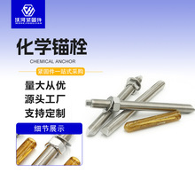 厂家直供8.8级化学锚栓304不锈钢螺栓热镀锌锚杆高强 化学锚栓