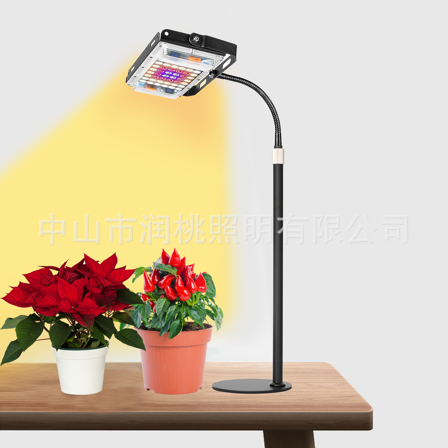LED plant lamp