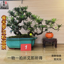 _h辰̨ԾGֲС~L͏dֲ՚