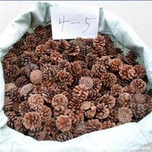 �������򱾵��� �Rβ�ɹ�3&mdash;7cm�ɹ��ɻ��Ĕz����diy�b�������