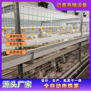 肉鸡笼 框架鸡笼 全自动养鸡设备 自动化养殖 养殖场 鸡舍-阿里巴巴