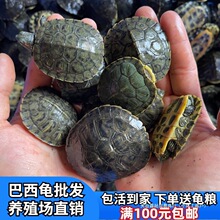 ����H���l���������������w������������[���^�pС��������
