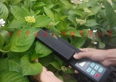 叶面积测量仪 型号MC12/ZXYM-B库号M406178