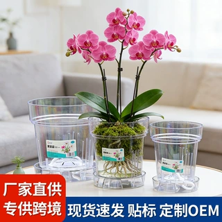 透明PC控根花盆兰花水苔蝴蝶兰透气蝴蝶兰桌面阳台塑料树脂花盆