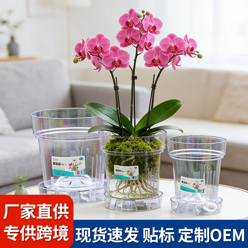 透明PC控根花盆兰花水苔蝴蝶兰透气蝴蝶兰桌面阳台塑料树脂花盆
