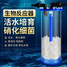 �~�����ﷴ�������Ͱ������������Ͱ�������V�����Ͱ��������Ͱ