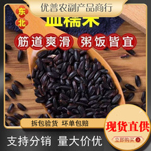 �|��ѪŴ�׺�Ŵ�������׽���Ŵ���������l������������s�Z����