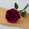 Rose purple (big velvet)