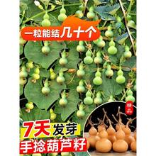 ����С���J�ѷN���ļ��^�p���J�N���̨ͥԺ����ֲ��������J����