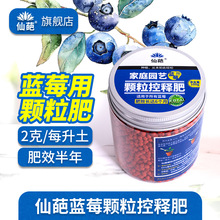 �����{ݮ���÷ʾ�ጷ��{ݮ����������ЙC���w����������