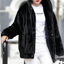 �ӽq�Ӻ�ů���m�Bñ����Ů���L��2025�����¿��n�挒��ë�q�L��