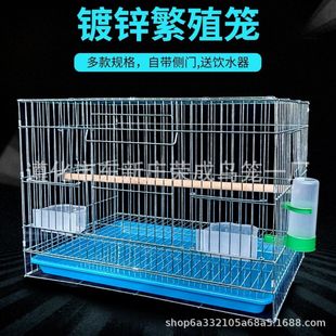 ĵ�����L�����W�^��ֳ�\��\�Bֳ�\�M�b���T�B�\�Ӵ����l�B��