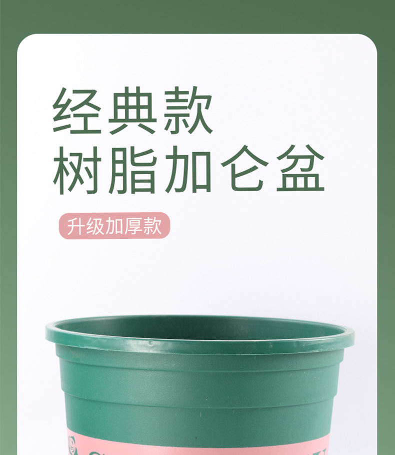 ������,��֬����,��������Բ�ڿظ�����,�¼��߿��ش�żӺ����ϻ���