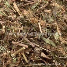 ��ș��500g���߲�֪�߲ݺ��߲ݸБ��ݟo���؛�a��ֱ�����l