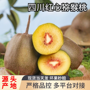 �t�īJ�������r���]�����殐�����������rˮ���J����һ�����l