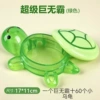 Green + 60 small turtles