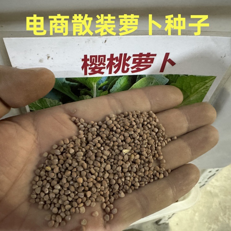 批发电商供货樱桃萝卜蔬菜种子散装小包装白萝卜包装设计阳台种植