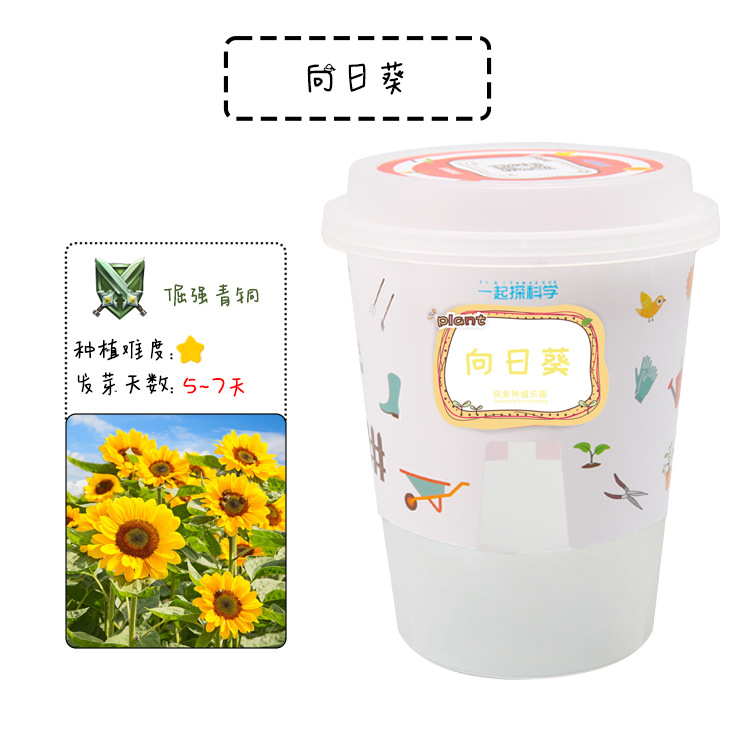 Los niños de Ciencia y Tecnología pequeña producción material didáctico kindergarten hecho a mano DIY experimento científico estudiante regalo juguetes al por mayor