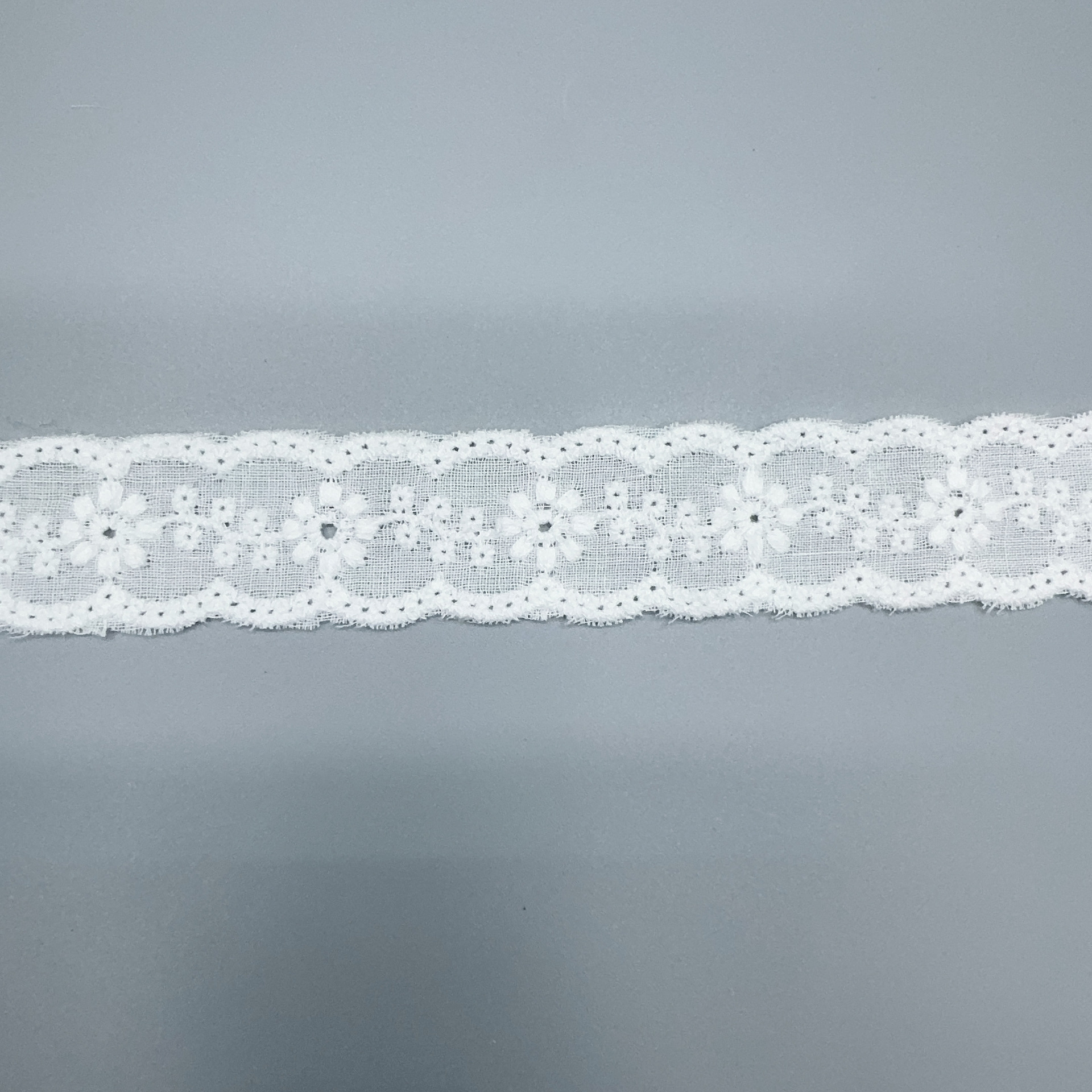 微信图片_20250303185416