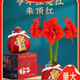 ��피t��� �����҃��̨ͥԺ���B������� �ļ�������피t���l