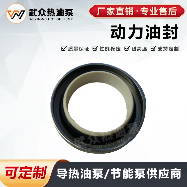 常州市武进WRY热油泵厂配件油封40-58-10（7）