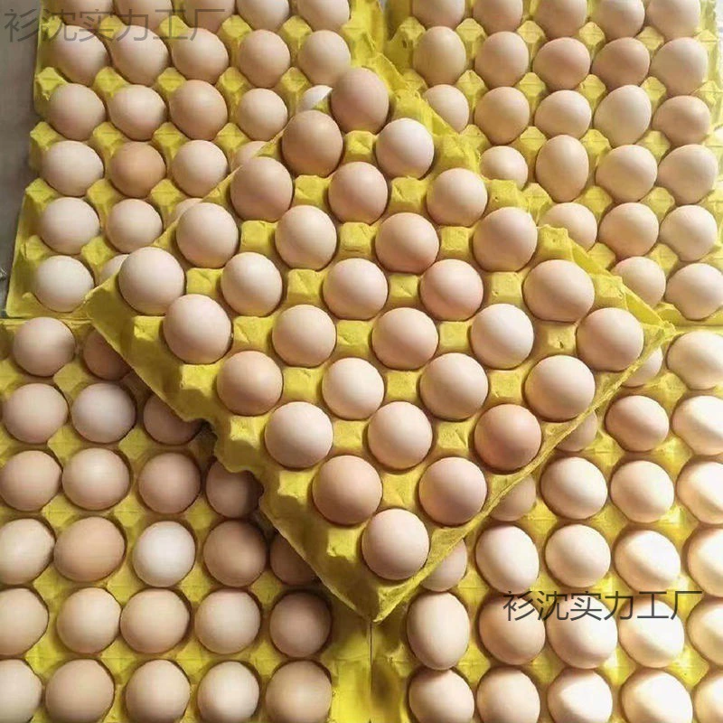 Яйца от кур свободного выгула, свежие и натуральные, оптовая цена, подарочная коробка для закусок.