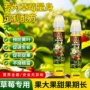 水培液体稀释盆栽专用肥