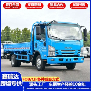 Isuzu 4.2m light dump truck, logistics delivery light truck, furniture delivery truck